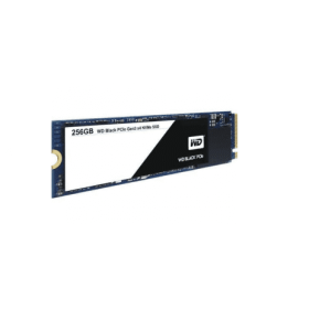 WDS100T2X0C