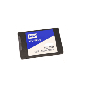 WDS250G1B0A