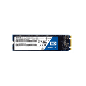 WDS250G1B0B