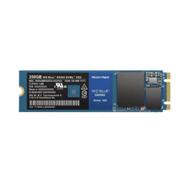 WDS250G1B0C