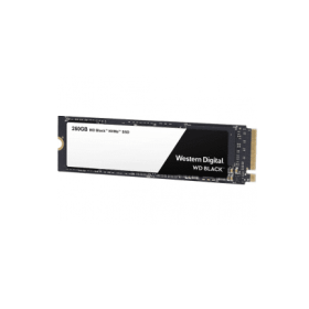WDS250G2X0C