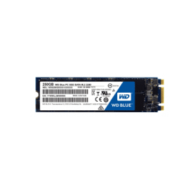 WDS500G1B0B
