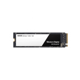 WDS500G2X0C