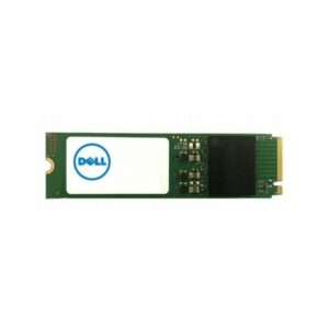 Dell-SNP112P/512G