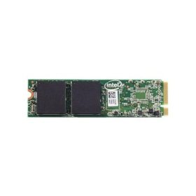 SSDPEL1K100GA01