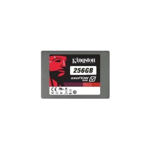 SVP100S2/256G