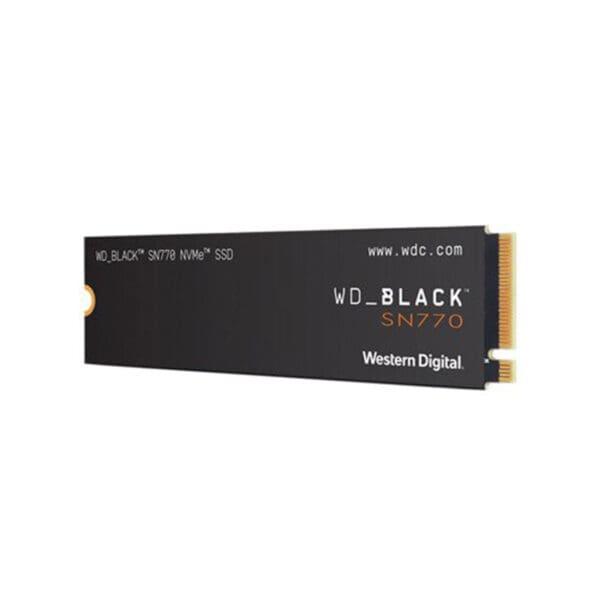 WD-WDS100T3X0E