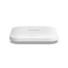 Netgear-WAX218-100NAS