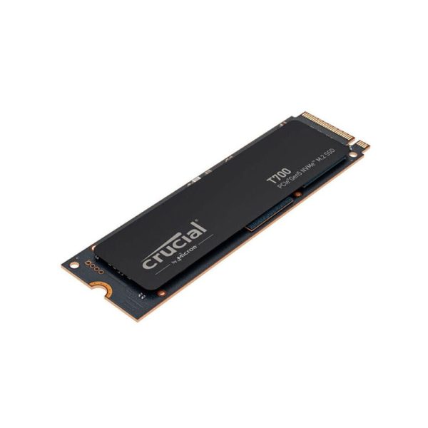 Crucial-CT1000T700SSD3