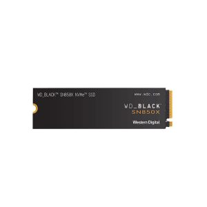 Western-Digital-WDS100T2X0E