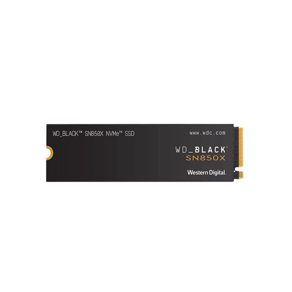 Western-Digital-WDS100T2X0E