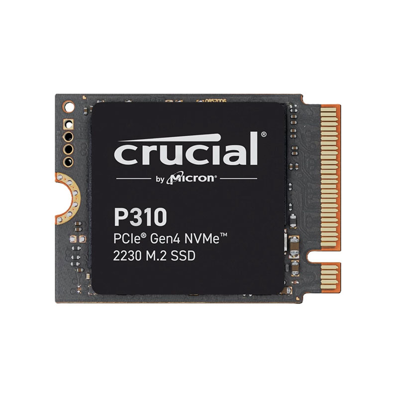 Crucial-CT1000P310SSD2