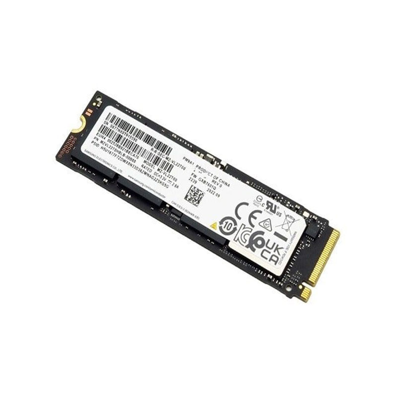 Samsung-MZ-VL21T0A