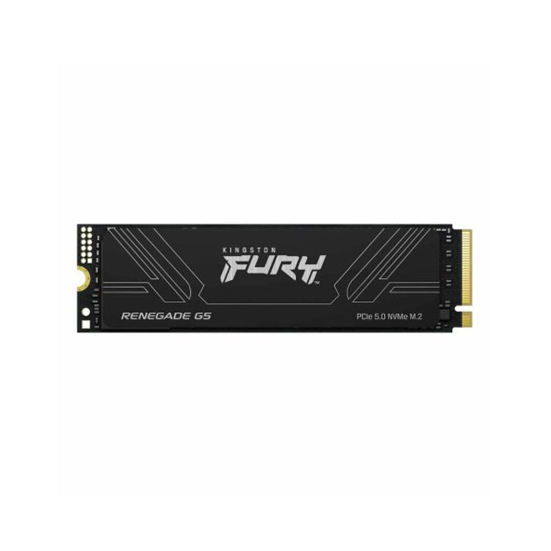 KingSton-SFYR2S/4T0