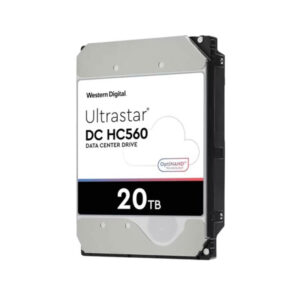 Western-Digital-WUH722020BLE6L4